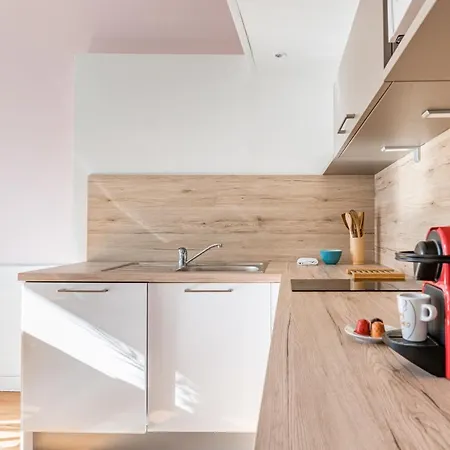 Le Royale Haussmann 4 Places Loft Canut Apartment Lyon