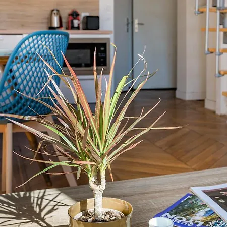 Le Royale Haussmann 4 Places Loft Canut Lyon