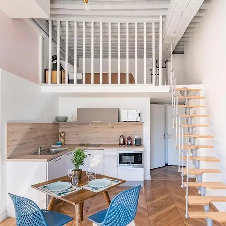 Le Royale Haussmann 4 Places Loft Canut 리옹
