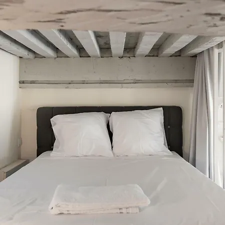 Le Royale Haussmann 4 Places Loft Canut * 리옹
