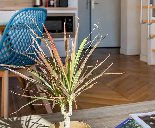 Le Royale Haussmann 4 Places Loft Canut Lyon