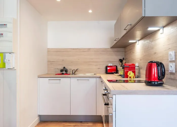 Le Royale Haussmann 4 Places Loft Canut Lejlighed Lyon