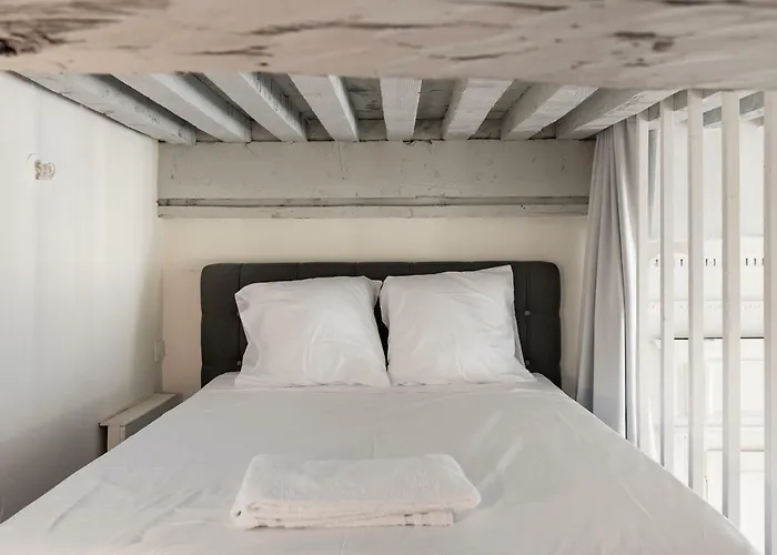Le Royale Haussmann 4 Places Loft Canut * Lyon