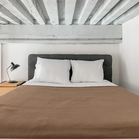 Le Royale Haussmann 4 Places Loft Canut Lyon