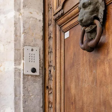 Le Royale Haussmann 4 Places Loft Canut Apartment