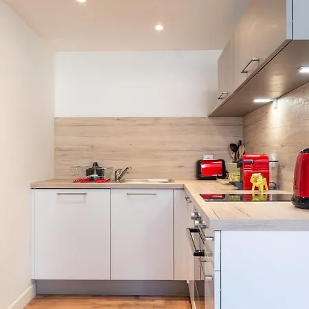 Le Royale Haussmann 4 Places Loft Canut Apartment Lyon