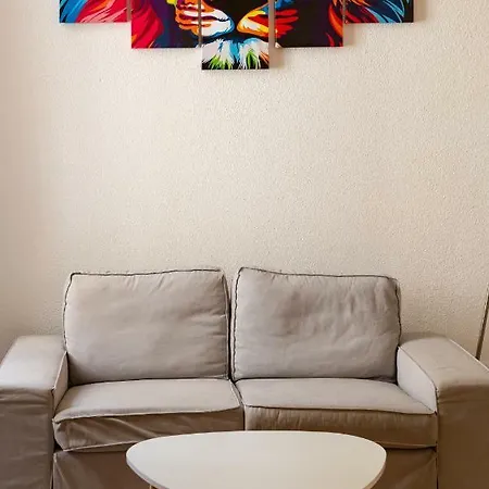 Le Royale Haussmann 4 Places Loft Canut Apartment Lyon